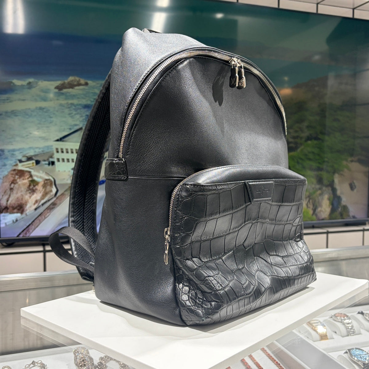 LOUIS VUITTON ルイヴィトン アポロ・バックパック クロコダイル×レザー