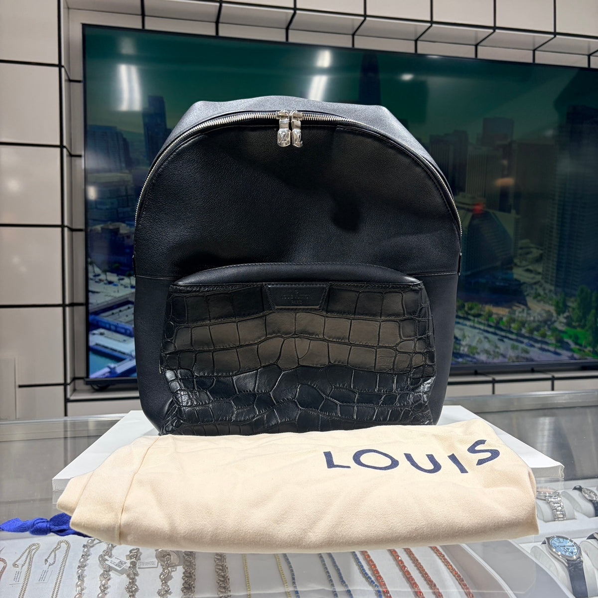 LOUIS VUITTON ルイヴィトン アポロ・バックパック クロコダイル×レザー